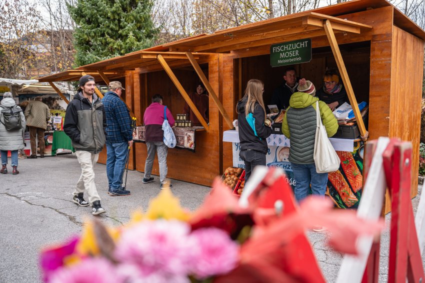 Jenbacher Martinimarkt